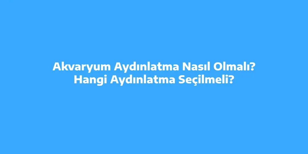 Akvaryum Aydınlatma Nasıl Olmalı? Hangi Aydınlatma Seçilmeli?